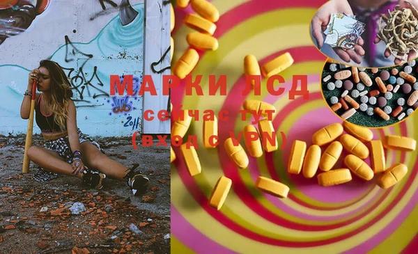 мдпв Кодинск