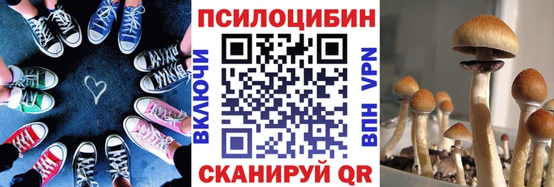 Псилоцибиновые грибы Psilocybine cubensis  купить наркоту  Озёрск 